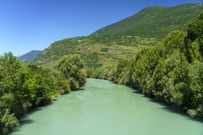 Scenic view of river amidst trees against sky