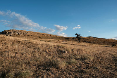 Scenic view of field against sky