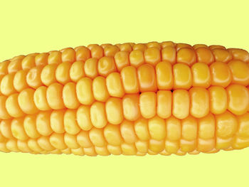 Close-up of yellow corn