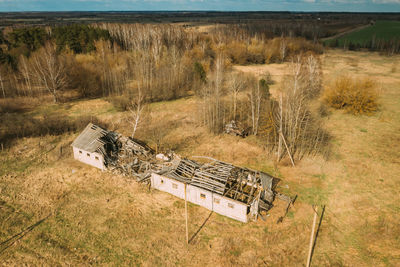 High angle view of trees on field