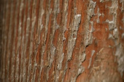 Full frame shot of wood