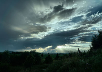 Trees on field against storm clouds