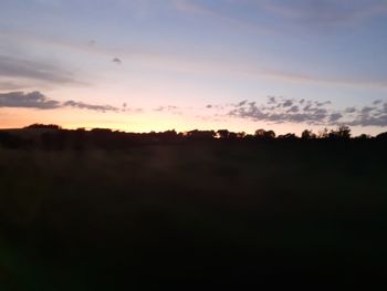 Silhouette trees on field against sky at sunset