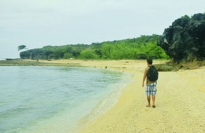 Rear view of man standing on beach