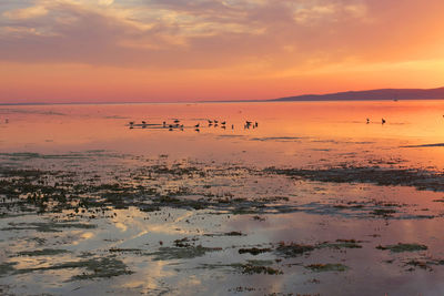 Scenic view of sea against orange sky