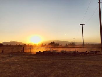 Scenic view of field against sky during sunset