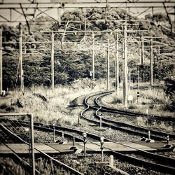 Railroad tracks in winter