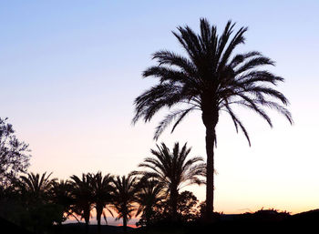 Silhouette palm trees against sky during sunset