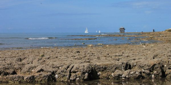 Scenic view of beach against sky