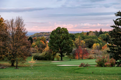 Trees on field against sky during autumn