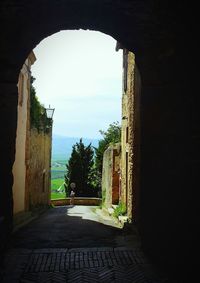 Trees seen through arch window