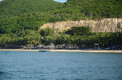 Scenic view of sea against trees