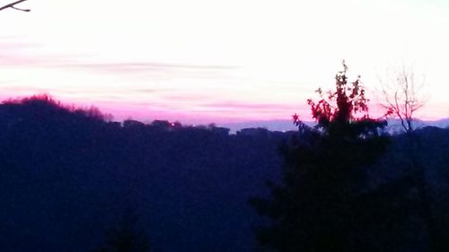 Silhouette trees against sky during sunset
