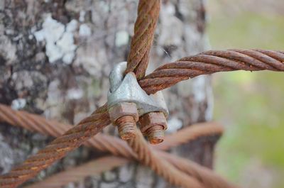 Close-up of rusty metal