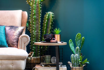 Modern armchair in the room with cactuses
