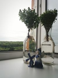 Close-up of vase on table against window