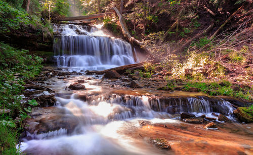 Low angle view of wagner falls