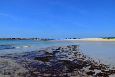 Scenic view of beach against blue sky