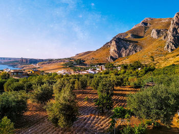 Plants growing on mountain against sky