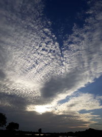 Low angle view of silhouette trees against sky