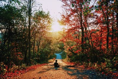 Rear view of woman walking in forest during autumn