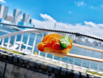 Close-up of orange fruit on railing against sky