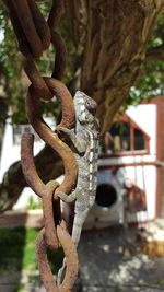 Close-up of rusty metal chain