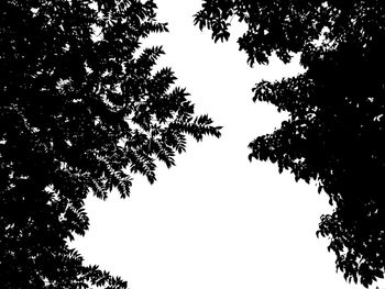 Low angle view of silhouette trees against sky