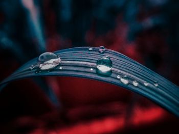 Close-up of water drops on bicycle wheel