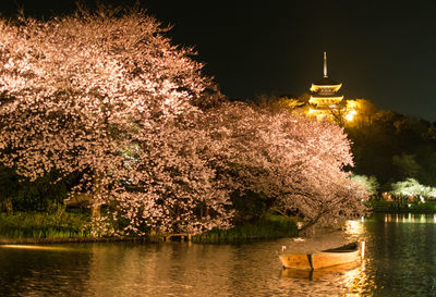 View of river at night