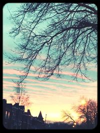 Low angle view of bare trees against sky at sunset