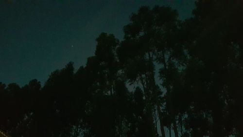 Low angle view of silhouette trees against sky at night