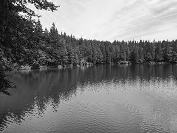 Scenic view of lake in forest against sky