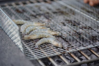 High angle view of fish on barbecue grill