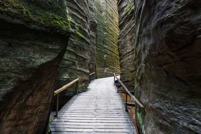 Rear view of man walking on mountain