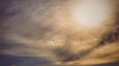 Low angle view of airplane flying in sky