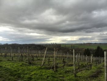 Scenic view of grassy field against cloudy sky