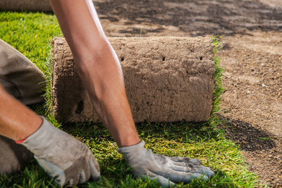 Low section of man working on grass