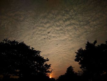 Low angle view of silhouette trees against sky during sunset