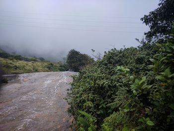 Scenic view of tree mountains against sky