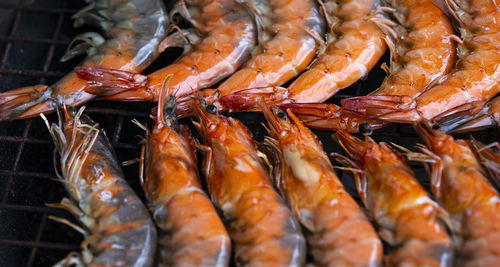 Grilled shrimp on the grill