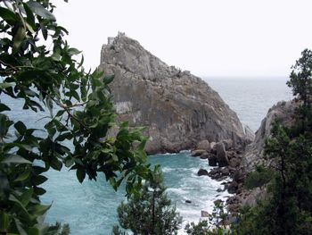 Rock formation at black sea with plants in foreground