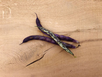 High angle view of leaf on wooden table