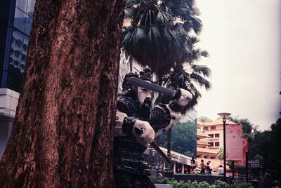 Low angle view of tree in city