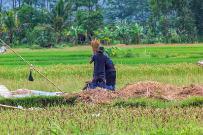 Rear view of man working at farm