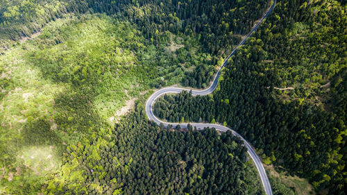 High angle view of road amidst trees in forest