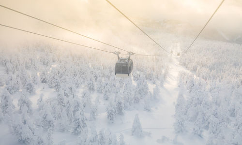 snow