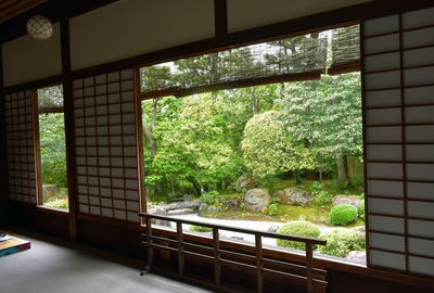 High angle view of trees