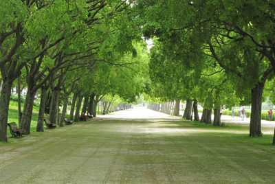 Scenic view of green landscape