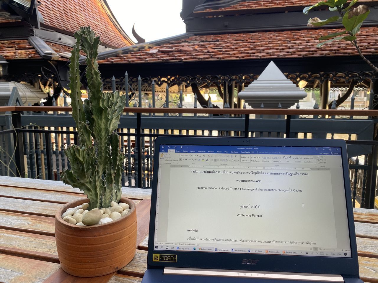 POTTED PLANT ON TABLE AGAINST BUILDING